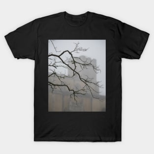 Chelsworth Mist #5 T-Shirt